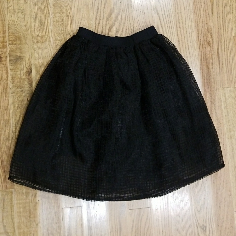 Forever 21 Grid Mesh Tulle skirt - Picture 4 of 8